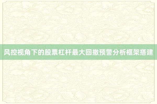 风控视角下的股票杠杆最大回撤预警分析框架搭建