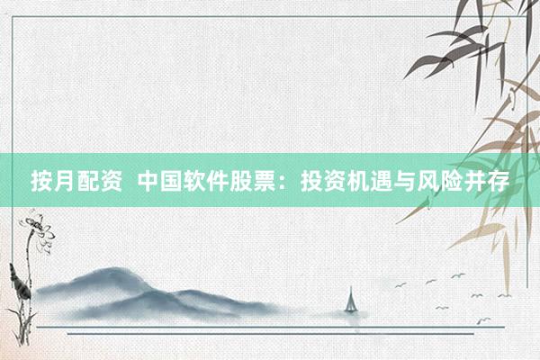 按月配资  中国软件股票：投资机遇与风险并存